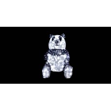Urs Panda, EB30787