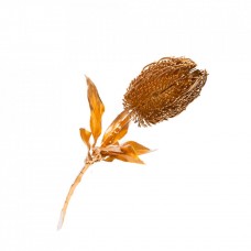 Frunza decorativa pentru brad, culoare auriu, dimensiune 60 cm, HB-1529