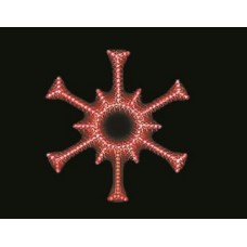 STAR 24